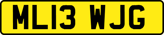 ML13WJG