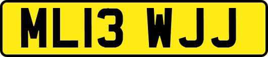 ML13WJJ