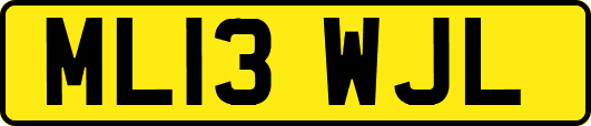 ML13WJL