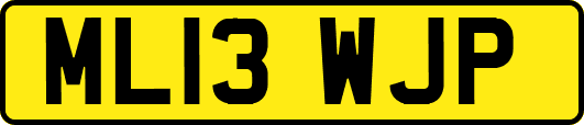 ML13WJP