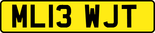 ML13WJT