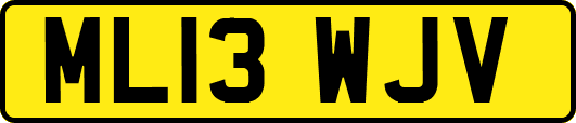 ML13WJV