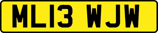 ML13WJW