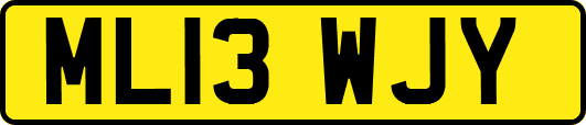 ML13WJY