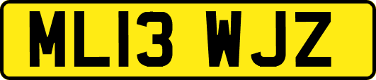 ML13WJZ