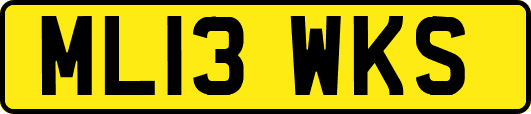 ML13WKS