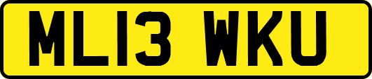 ML13WKU