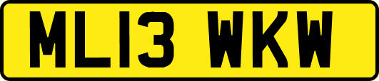 ML13WKW