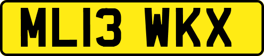 ML13WKX