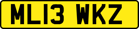 ML13WKZ