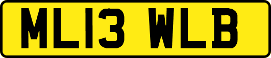 ML13WLB