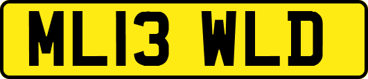 ML13WLD