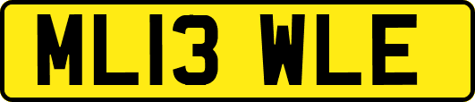 ML13WLE