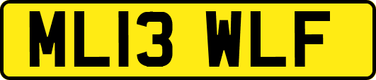 ML13WLF