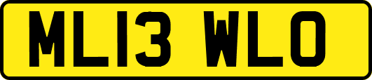 ML13WLO