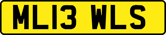 ML13WLS