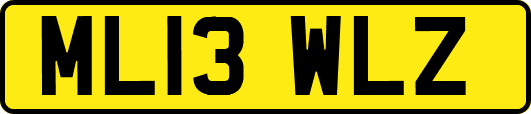 ML13WLZ
