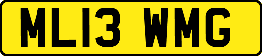 ML13WMG