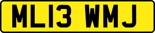 ML13WMJ