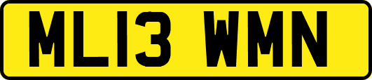 ML13WMN
