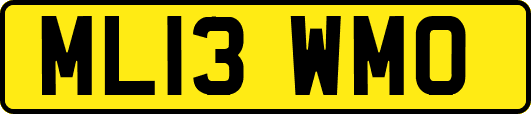 ML13WMO