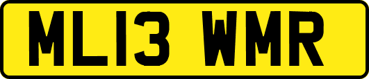 ML13WMR