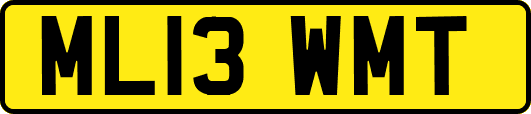 ML13WMT