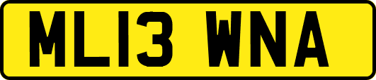 ML13WNA