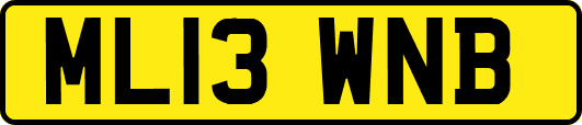 ML13WNB