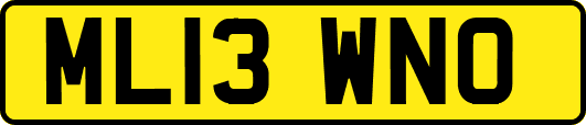 ML13WNO