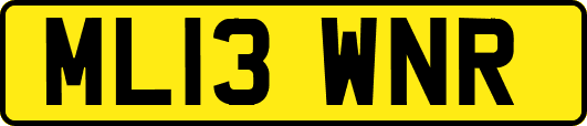 ML13WNR
