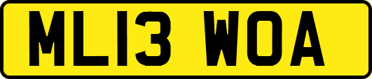 ML13WOA