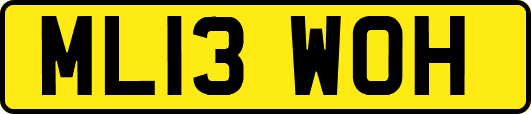 ML13WOH