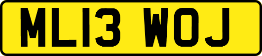 ML13WOJ