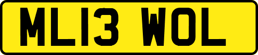 ML13WOL