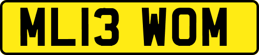 ML13WOM