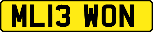 ML13WON