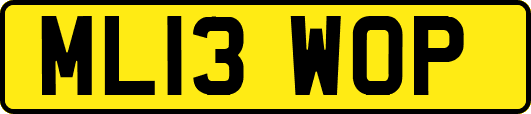 ML13WOP