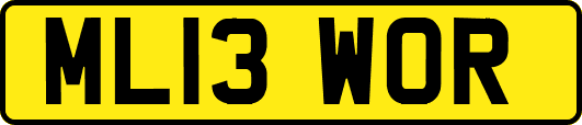 ML13WOR