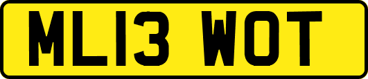 ML13WOT
