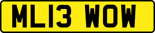 ML13WOW