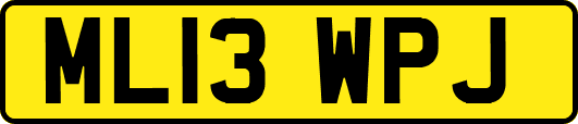 ML13WPJ