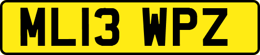 ML13WPZ