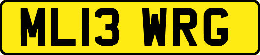 ML13WRG