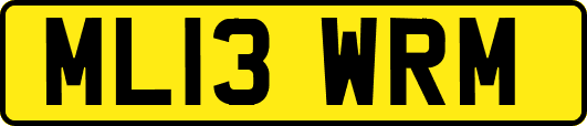 ML13WRM