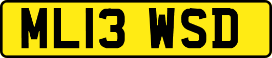 ML13WSD