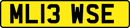 ML13WSE