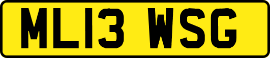 ML13WSG