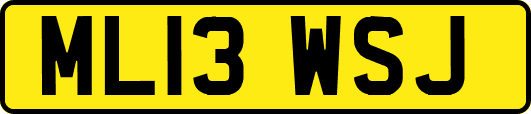 ML13WSJ