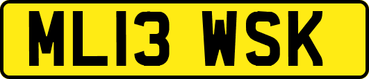 ML13WSK